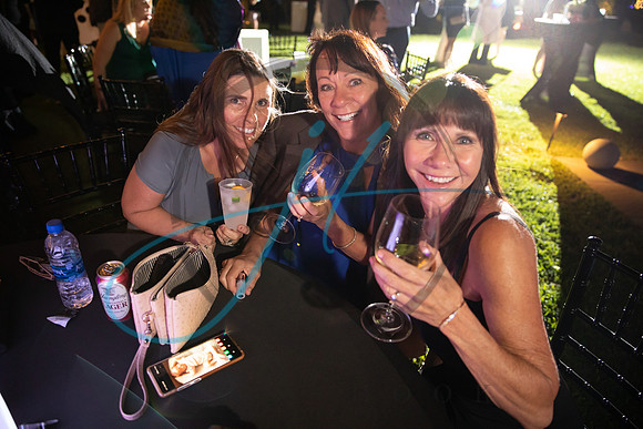 Brevard Alzheimer's gala-4855