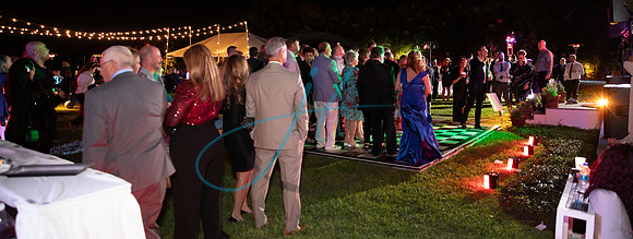 Brevard Alzheimer's gala-5025