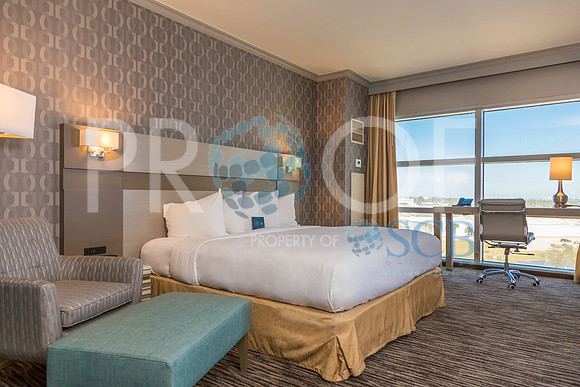 King Room 2-1701