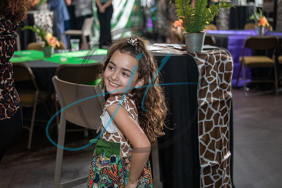 Wild about the Arts-7596