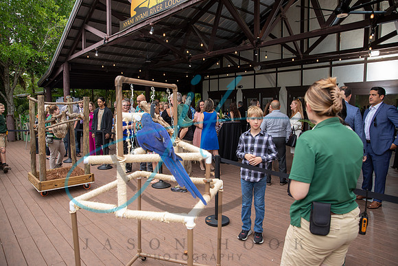 Wild about the Arts-7356