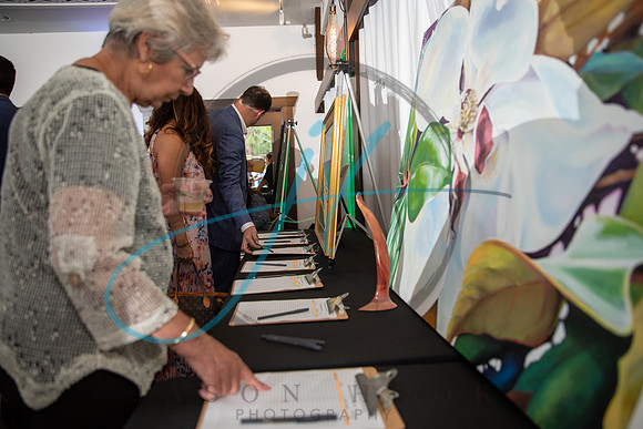 Wild about the Arts-7490