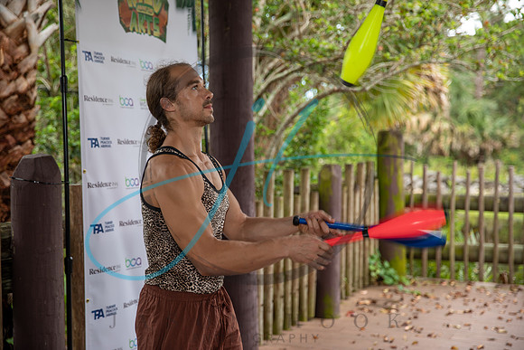 Wild about the Arts-7354