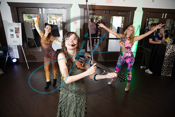 Wild about the Arts-7528