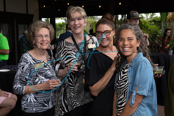 Wild about the Arts-7339