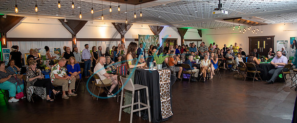 Wild about the Arts-7435