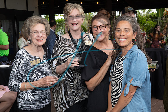 Wild about the Arts-7338