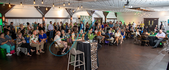 Wild about the Arts-7436