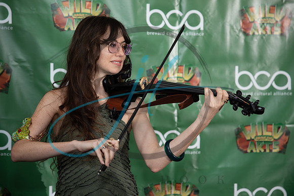 Wild about the Arts-7365