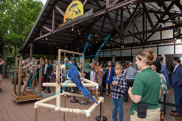 Wild about the Arts-7357