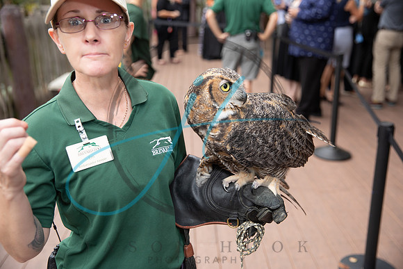 Wild about the Arts-7391