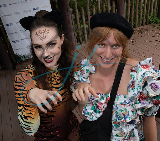 Wild about the Arts-7340