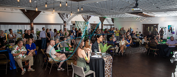 Wild about the Arts-7417