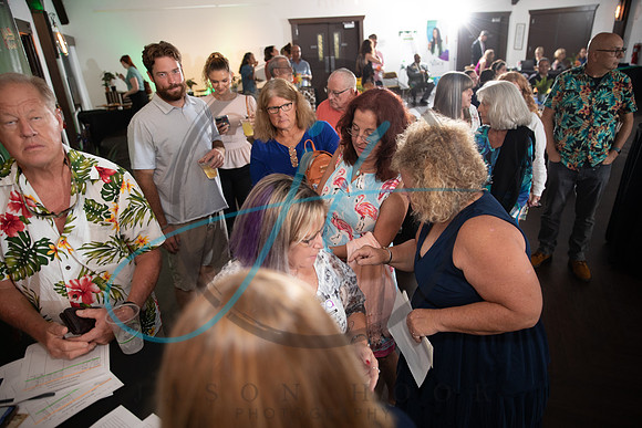 Wild about the Arts-7562