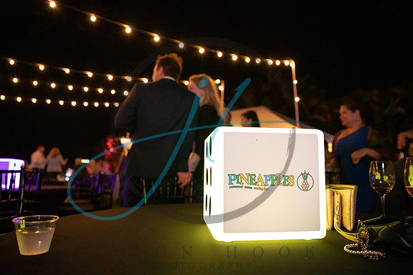 Brevard Alzheimer's gala-4850