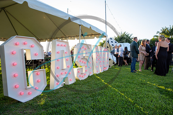 Brevard Alzheimer's gala-4622