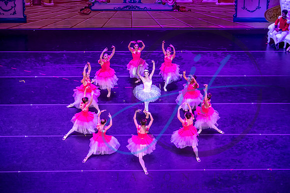 2022 Dress NutCracker-9545