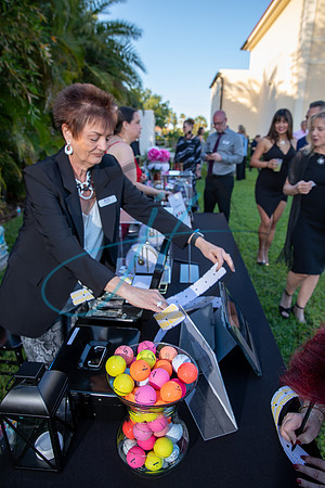 Brevard Alzheimer's gala-4613