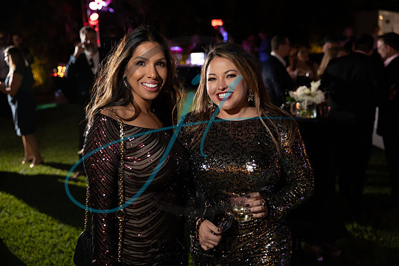 Brevard Alzheimer's gala-4801