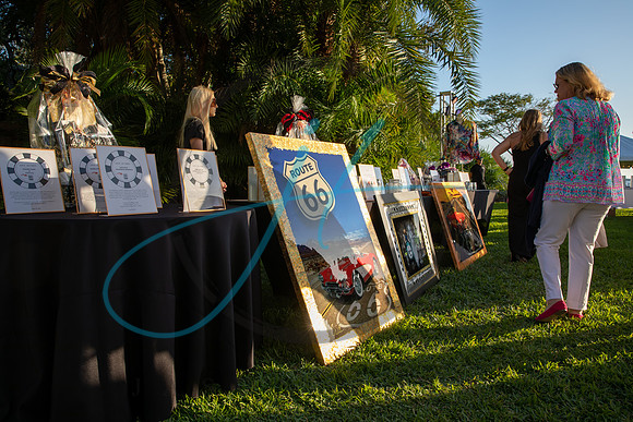 Brevard Alzheimer's gala-4610