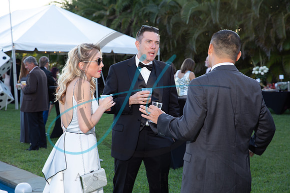 Brevard Alzheimer's gala-4618