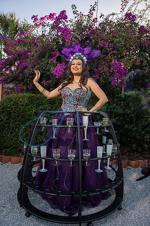 Brevard Alzheimer's gala-4567