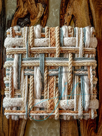 IMG_6463
