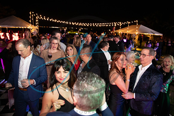 Brevard Alzheimer's gala-4939