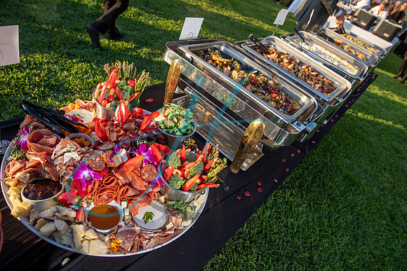 Brevard Alzheimer's gala-4624