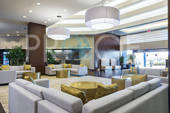 1611.Hilton Rialto-5594-Edit-2